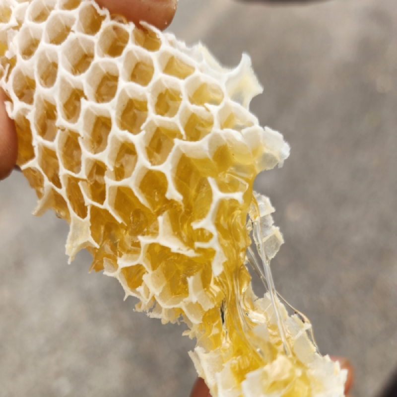 현우양봉 달꿀,현우양봉달꿀 양구방산 천연 야생화꿀 2.4kg